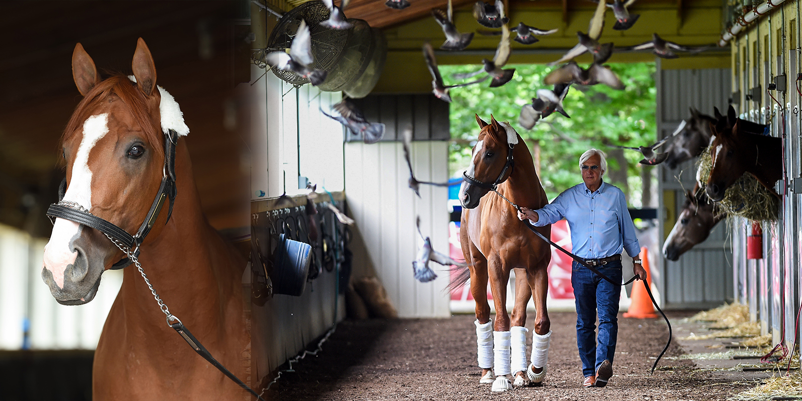 Justify – U.S. Triple Crown