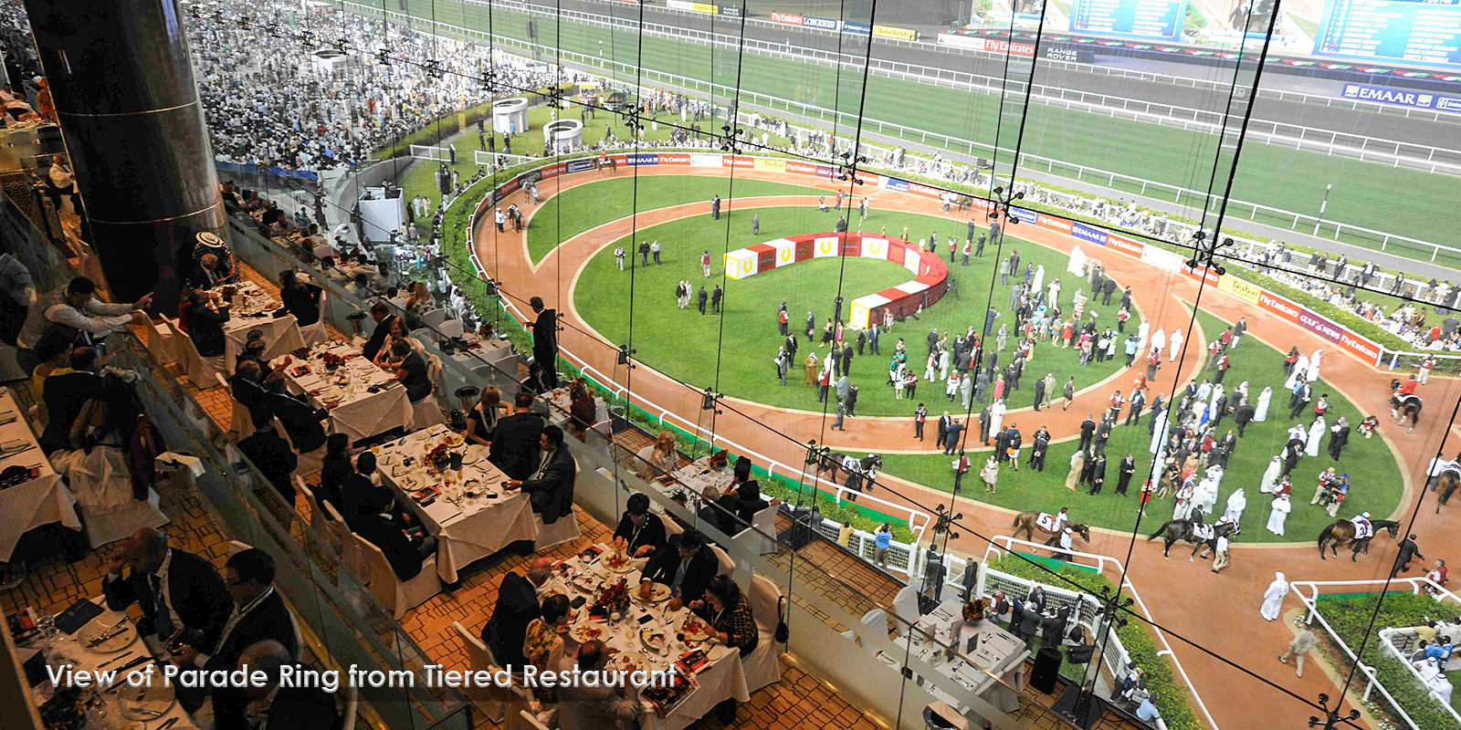 Meydan Racecourse &  Grandstand